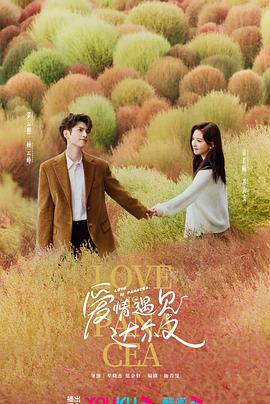 国际域名跟国外域名seo优化的区别